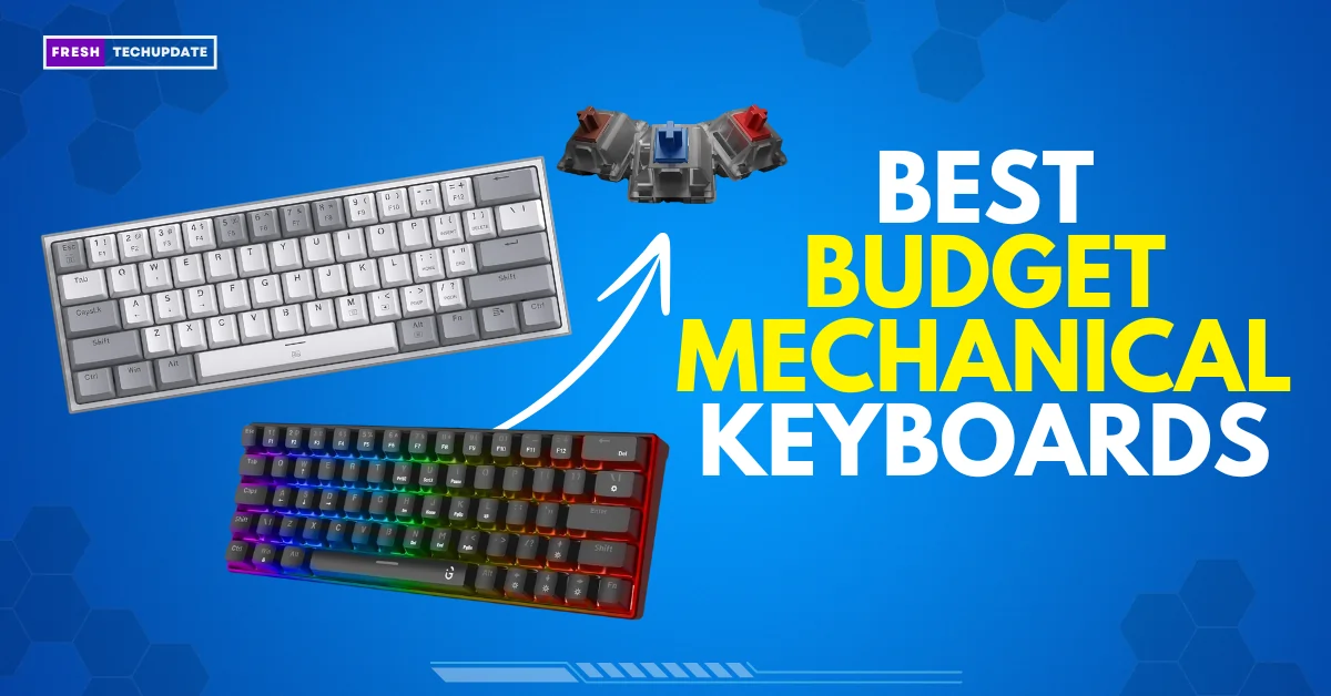 Best Budget Mechanical Keyboards in India (2024)